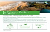 La Reserva Costera Valdiviana - The Nature …...de los bosques de Chile y para la conservación de la naturaleza, con la donación de más de 10 mil hectáreas de bosque nativo de