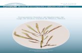 Revista de investigación y difusión sobre algas · RESUME SIS Cymbella 5 Nm. - 153 Cynthia Izchell Martell Ortiz Composición florística del fitoplancton del Lago de Chalco, Ciudad