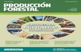 producciOn Forestal - Argentina.gob.ar · (Familia Araucariaceae) BREVES. 3 EDITORIAL El Ministerio de Agricultura, Ganadería y Pesca de la Nación (MAGyP) fortalece su compromiso