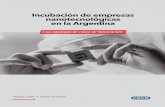 Incubación de empresas nanotecnológicas en la Argentinafcece.org.ar/wp-content/uploads/informes/empresas... · en otras palabras, la nanotecnología no es un sector productivo específico,
