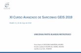 XI Curso Avanzado de Sarcomas GEIS 2019 Madrid, 9 y 10 de ... · –Se decide incluir en ensayo GEIS 25 •QT preoperatoria se randomiza entre ifosfamida 14 g/m2 en 14 d en inf. continua