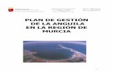 Plan Gesti.n Anguila Murcia€¦ · PERTENECIENTE A LA REGIÓN DE MURCIA ... 2.2.RELIEVE E HIDROLOGÍA ... con los cabezos del Carmolí y San Ginés; conforman el paisaje protegido