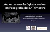 Aspectes morfològics a avaluar en l’ecografia del 1r Trimestre · Aspectes morfològics a avaluar en l’ecografia del 1r Trimestre Dra Eva López Quesada Hospital Universitari