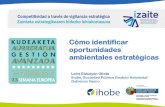 Cómo identificar oportunidades ambientales estratégicas · 36 VIGILANCIA AMBIENTAL ESTRATEGICA Bilbao.- 6/11/2017 Programa de Prácticas en apoyo a la Vigilancia Ambiental Estratégica