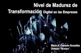 Nivel de Madurez de Transformación Digital en las Empresas · 2016-09-09 · de transformación digital, hasta 20 puntos, dando prioridad a los logros en nuevos aspectos relacionados