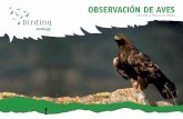 OBSERVACIÓN DE AVES · Descubrir Euskadi a través de las aves Existen muchas formas de viajar y descubrir un país. Le presentamos a continuación una selección de los mejores