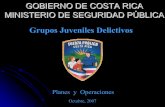 Presentacion Costa Rica · preparación y presentación de su defensa. - Siempre que sea posible se evitará recurrir a procedimientos judiciales y a la internación en instituciones.