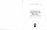 El proceso de integración del Mercosur · das por una parte y el acuerdo de l~s presiden.te.s.de los países del Mercosur y de Bolivia y Chile pa:a InICIar un diálogo político