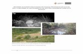 Informe Paisaje Protegido 2017 - Valle de Egüés … · Tala selectiva en espacios de 5ha con presencia de frondosa BAJA ... La escasa carga ganadera y la ausencia de gestión llevan