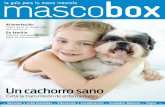 Un cachorro sanomascobox.com/Guia_mascobox.pdf · mación para el cuidado de tu mascota. · El acceso a promociones especiales y muestras gra-tuitas de las empresas que colaboran