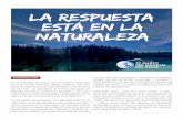 La respuesta está en la naturaleza - Agua.org.mx · Con el tema de este año, “La naturaleza al servicio del agua”, se persigue encontrar soluciones basadas en la natu-raleza