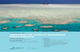 Capítulo 20 Gestión de áreas marinas protegidaspress-files.anu.edu.au/downloads/press/n5764/pdf/ch20.pdf · de ecosistemas, Autoridad del Parque Marino de la Gran Barrera de Coral,