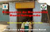 Proyectos de Desarrollo Rural Integradoocw.upm.es/pluginfile.php/485/mod_label/intro/Desarrollo_Rural.pdf · Rural Integrado Adolfo Cazorla – Ignacio de los Rios. 1. Proyectos de