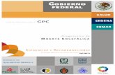 Evidencias y Recomendaciones201.116.126.82/pdf/gpc/eyr/SS-488-11.pdf · Nacional Siglo XXI, IMSS Validación interna: Dr. Enrique Mario Olivares Durán Dra. Angélica Carbajal Ramírez