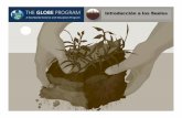 Visión de Conjunto - GLOBE Perú · La Introducción a la Investigación GLOBE de los Suelos ... Con la Investigación de los Suelos, provees datos que nadie más puede. Ayudas a