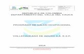 PROGRAMA SALUD OCUPACIONAL 2014 - eva.gov.co · El programa de salud ocupacional aplica a todos los trabajadores de Vallecaucana de Aguas S.A. E.S.P. 3. RESPONSABLES 3.1. GERENCIA