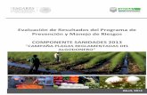 Evaluación de Resultados del Programa de …...Evaluación de Resultados del Programa de Prevención y Manejo de Riesgos, Componente Sanidades 2013 en Baja California definición