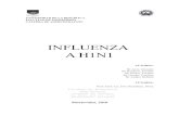 INFLUENZA A H1N1 - UdelaR€¦ · Definición: “La influenza A H1N1 (gripe porcina) es una enfermedad respiratoria causada por el virus de la influenza tipo A, este virus inicialmente