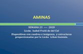 AMINAS - quimicaifratti.files.wordpress.com · SEMANA 23 ---- 2020 Licda: Isabel Fratti de del Cid Diapositivas con cuadros e imágenes, y estructuras proporcionadas por la Licda: