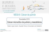 MESA 6: Cáncer de pulmón€¦ · Novedades 2019: Cáncer microcítico de pulmón y mesotelioma Rafael Lopez Castro. 27 de junio de 2019!11 Overall survival a Clinical data cutoff