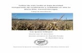 Cultivo de maíz tardío en baja densidad: …repositoriodigital.uns.edu.ar/bitstream/123456789/4708/1...Cultivo de maíz tardío en baja densidad: Comparación de rendimiento y cualidades