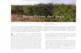 La Fertilidad de la Tierra Revista de Agricultura Ecológica, ISSN: …€¦ · De la misma forma que la vegetación protege a la tierra de la erosión del viento y el agua, los setos