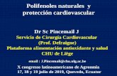 Polifenoles naturales y protección cardiovascular · Polifenoles naturales y protección cardiovascular Dr Sc Pincemail J Servicio de Cirurgía Cardiovascular (Prof. Defraigne) Plataforma