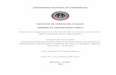 UNIVERSIDAD NACIONAL DE CHIMBORAZOdspace.unach.edu.ec/bitstream/51000/5095/1/UNACH-EC-FCS... · 2018-10-13 · AUTORÍA DE LA INVESTIGACIÓN “La responsabilidad del contenido de