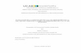 UNIVERSIDAD CATÓLICA ANDRÉS BELLO PROGRAMAbiblioteca2.ucab.edu.ve/anexos/biblioteca/marc/texto/AAT...UNIVERSIDAD CATÓLICA ANDRÉS BELLO DIRECCIÓN GENERAL DE ESTUDIOS DE POST-GRADO
