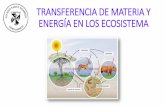 TRANSFERENCIA DE MATERIA Y ENERGÍA EN LOS ......2015/09/11  · ecosistema. Esta pirámide se puede invertir, cuando los productores se reproducen a gran velocidad. Pirámide de Biomasa