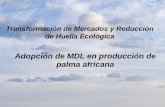 Adopción de MDL en producción de palma africana · a 4.2 1.97 1.12 6.15 1.4 0.9 b 0.29 0.14 0.08 0.44 0.10 0.06 0.300 0.141 0.080 0.440 0.100 0.064 Muestr Por cada metro cúbico