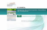 Sistema de Información Científica de Andalucíawebdeptos.uma.es/hdi/CVN Patricia Zambrana[1].pdf · Telefónica y Parque Tecnológico de Andalucía, con un total de diez horas lectivas.