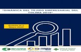 “DINÁMICA DEL TEJIDO EMPRESARIAL DEL …...A corte 31 de diciembre de 2019, el tejido empresarial del Tolima estaba constituido por 45.609 empresas, de las cuales 39.394 estaban