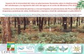 Impacto de la intensidad del raleo en plantaciones ...€¦ · Visión de Biodiversidad para la Ecoregión del Bosque Atlántico del Alto Paraná Di Bitetti et al. 2003 Superficie
