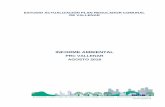 INFORME AMBIENTAL Regulador...2019/10/03  · I.- RESUMEN EJECUTIVO El presente informe corresponde al Informe Ambiental de la Actualización Plan Regulador Comunal de Vallenar (PRCV).