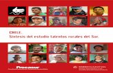 CHILE. Síntesis del estudio talentos rurales del Sur.americalatina.procasur.org/images/Taller_talentos/Resumen_Chile.pdf · De la muestra de talentos incluidos en este estudio un