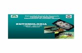 Entomologia - I Unidad - 3ra ClaseEntomologia - I Unidad - 3ra Clase.pdf Author blancog Created Date 10/2/2009 10:27:21 AM ...