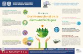 Escuela Nacional de Trabajo Social - UNAM 2018€¦ · UNIVERSIDAD DE ESCUELA DE SOCIAL 22 DE MAYO Día internacional de la diverJidad biológica La variedad y abundancia de especies