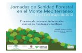 1.- Procesos de Decaimiento forestal en masas de frondosas y … · 2018-04-25 · Árboles secos en pie Ejemplo de zona de afectación múltiple: elevada mortandad, abundantes pies