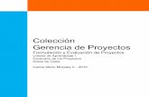 Colección Gerencia de Proyectos€¦ · formulación, y evaluación), la Inversión (ejecución y control), y la Operación (operación y evaluación ex-post), es lo que se conoce