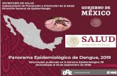 Panorama Epidemiológico de Dengue, 2019 - gob.mx · 2019-09-26 · 2018 2018 2019 CIERRE SEMANA SEMANA DNG 8,618 2,943 13,180 DCSA 3,808 1,784 3,861 DG 907 383 1,279 DCSA + DG 4,715