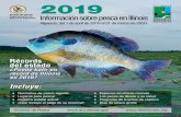 Illinois DNR - 2019 · Gracias por su interés en la pesca en Illinois y por tomarse un tiempo para revisar la guía deInformación sobre pesca en Illinois 2019. Este manual ofrece