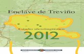 Enclave de Treviño - Euskadi.eus · 2013-02-14 · en la Encuesta Sociolingüística de Euskal Herria que cada cinco años realiza la Viceconsejería de Política Lingüística del