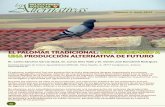 EL PALOMAR TRADICIONAL: DEL ABANDONO A …seleccionesavicolas.com/pdf-files/2015/4/046-051...Los pichones crecen rápidamente, adquiriendo en torno al mes de edad un plumaje similar