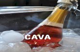 CAVA - Selva6. DISPOSAR D’UN CATÀLEG DE PRODUCTES amb un tarifari actualitzat. 7. FER ÚS DE TÈCNIQUES COMU-NICATIVES basades en el relat del productor i del producte, que es pot