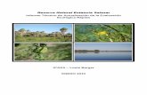 Informe Técnico de Actualización de la Evaluación Ecológica Rápidachmparaguay.com.py/informaciones-ambientales/Chaco... · 2017-03-25 · Yanosky, Cartes, Rodas & Col. Componente