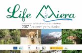 LIFE 13 NAT/ES/899 Conservación de la biodiversidad en el ...€¦ · unos 2 millones de años quedó acantonado en la región macaronésica (Islas Canarias, Azores, Madeira y Cabo