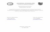 Análisis de la evolución y participación de la Comisión ... MAIOLA BARBARA UBA.pdf · las comisiones internas para luchar por sus derechos en forma autónoma, independiente y