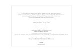 Hacettepe Üniversitesi Elektronik Tez Projesi: Yüksek ...bby.hacettepe.edu.tr/bs/projeler/02G064.pdf · Hacettepe Üniversitesi Bilimsel Araştırmalar Birimi tarafından desteklenen