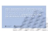 MECANISMOS DE PROTECCIÓN DE DEFENSORES DE DERECHOS ... · LA APLICACIÓN EN COLOMBIA DE LAS DIRECTRICES DE LA UE ... Las conclusiones del Relator Especial Michel Forst en su Informe